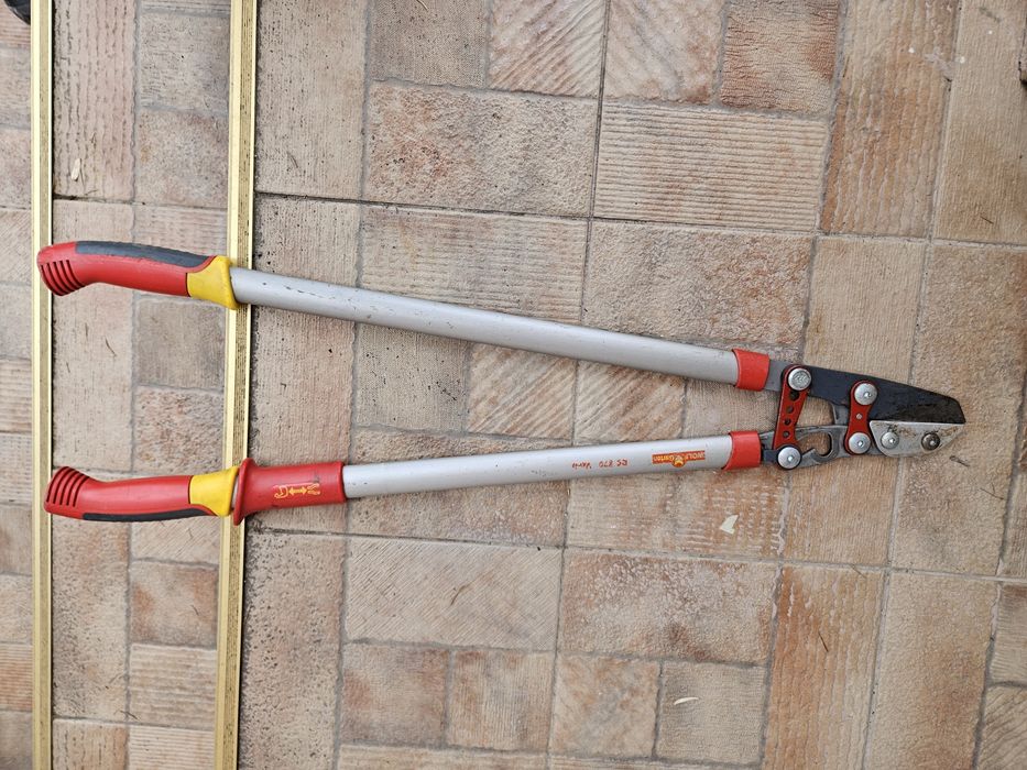 foarceci wolf  ramuri groase