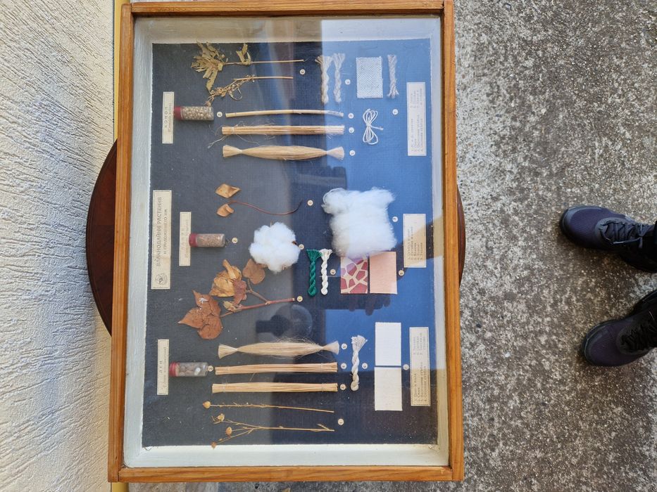 Страхотно антикварно пано - Влакнодайни култури