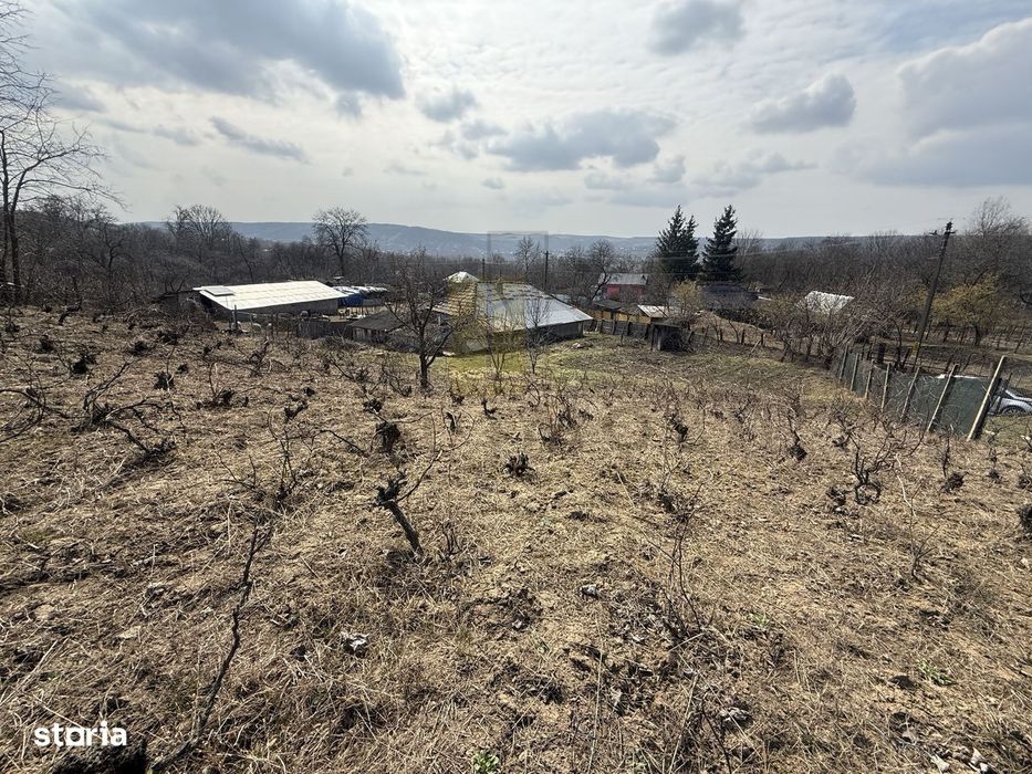 Casa batraneasca + Teren 1191 mp | Dobrovat (Iasi) | Liniste si natura