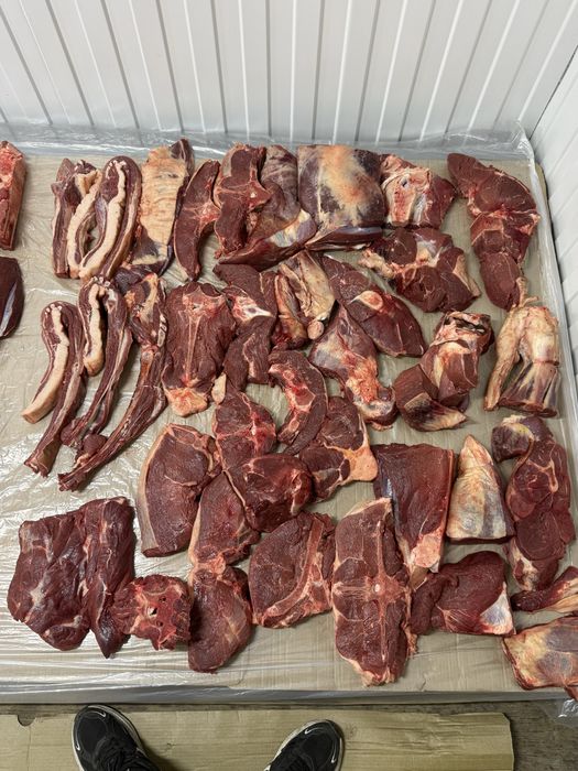 Мясо конина говядина