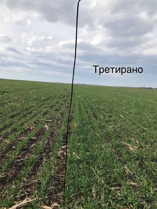 Органичен гранулиран тор с микроорганизми – за всички ваши култури