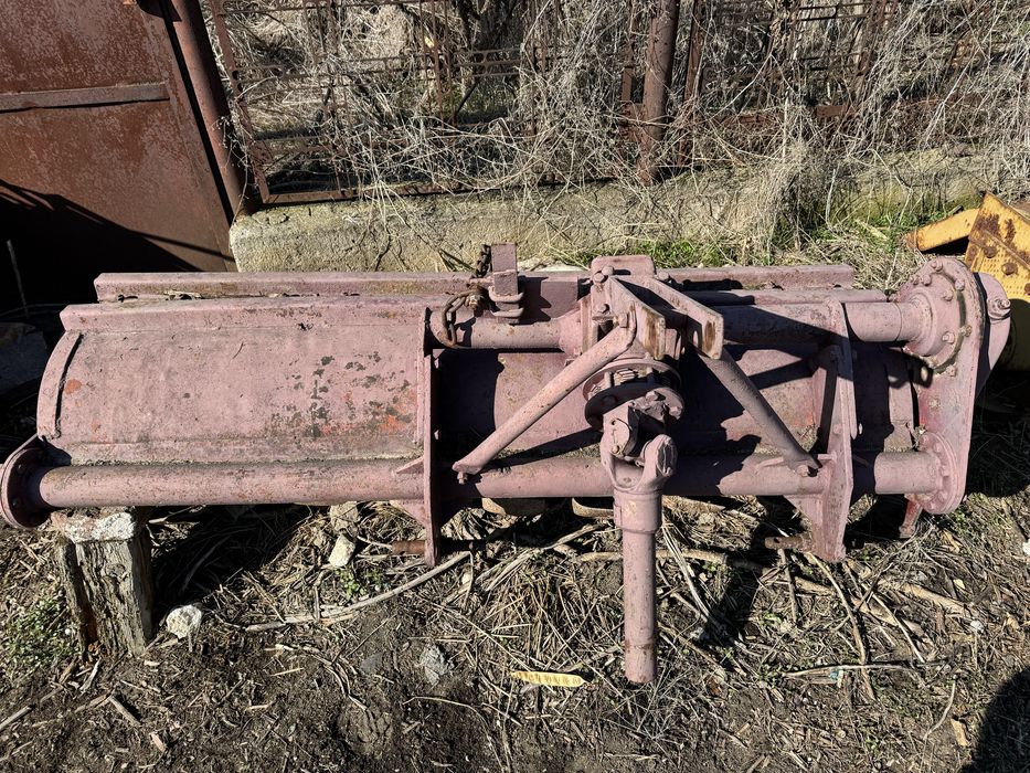 Карловска Фреза  1,60м