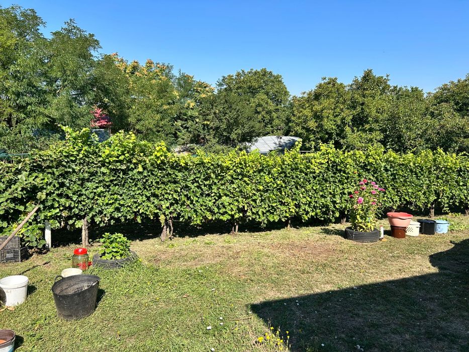 Casă 200 m2 și teren 2000 m2 de vânzare în Negrea, Galati