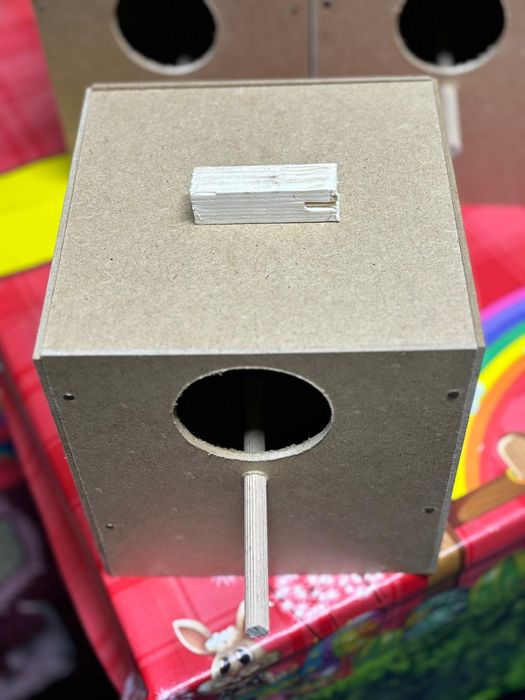 Vând cuiburi perusi