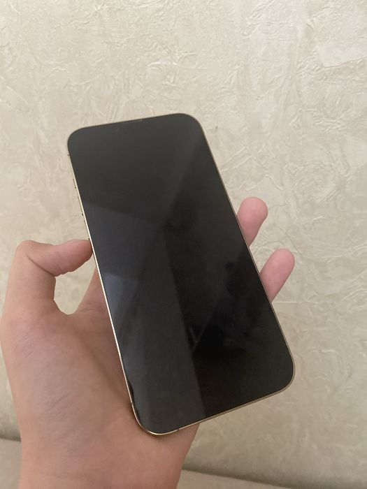 IPhone 13pro max