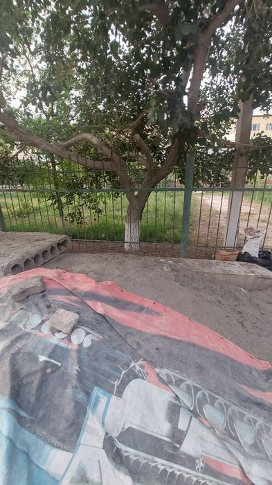 Bepul olib ketsangizlar boldi faqat tezroq