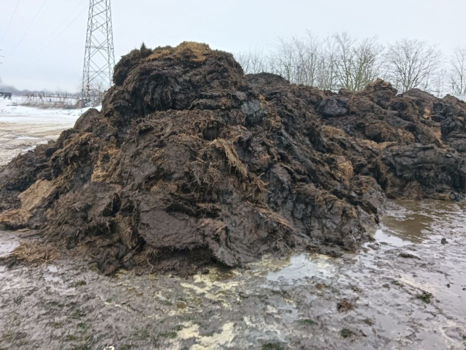 Vând gunoi de grajd