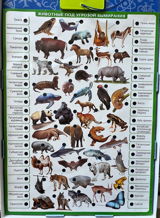 Игра для детей Conector Животный мир