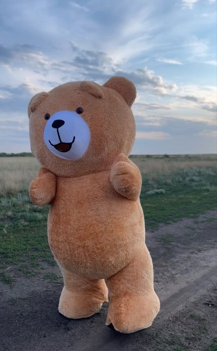 Ростовая кукла медведь ТЭД