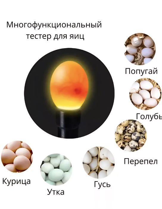 Ovoskop/ Овоскоп/тестер инкубационного яйцо/ инкубатор/ inkubatorga