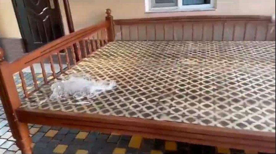 Тапчан, Сакі - 130мын