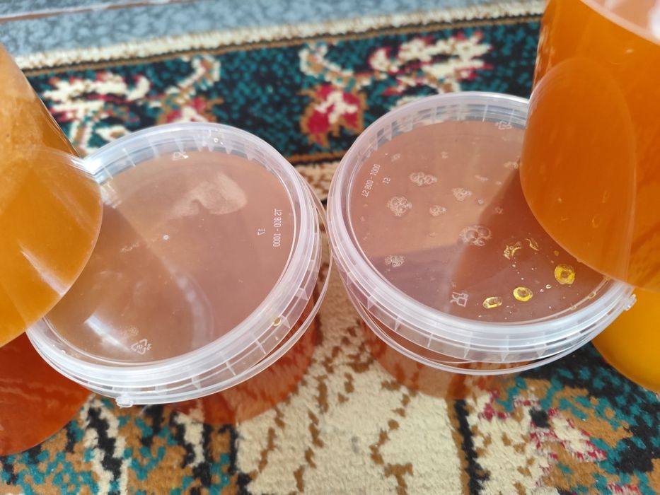 Майский горный Лепсинский мед