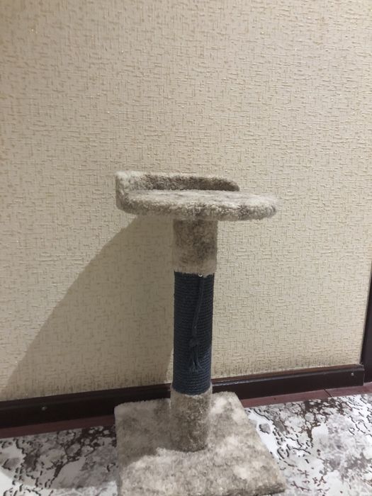 Когтеточка для кошек 60см