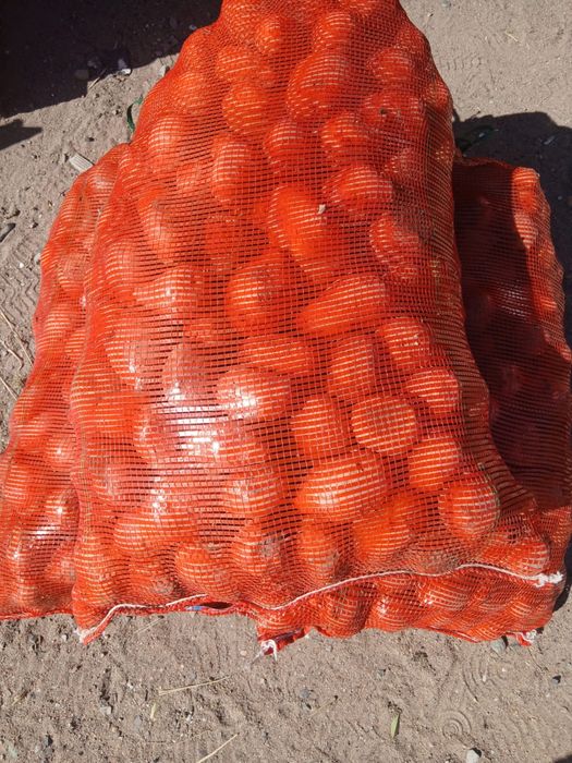 Продам картошку