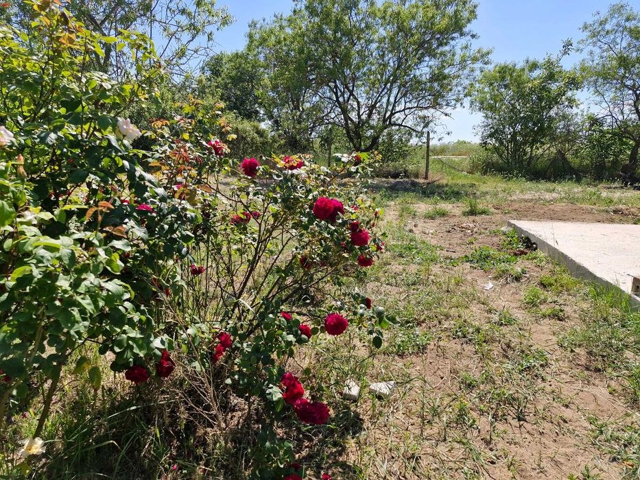 Продава се Къща в Варна, м-т Боровец - север - 83 кв.м за 1531 €/кв.м - Снимка #3