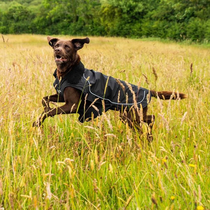 Дъждобран за кучета Mountain Paws, водоустойчив ветроустойчив,размер М