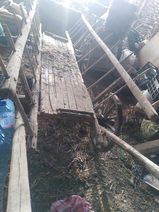 Каруца магарешка !!!