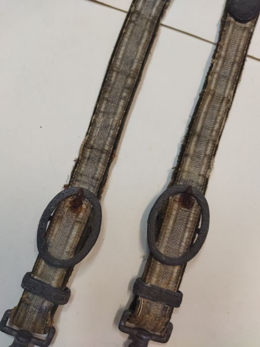 Царство България, носачи за редкия полицейски кортик.