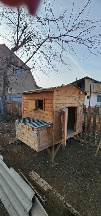 Курятник с яйцесборником