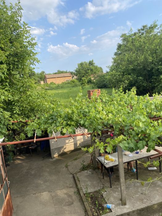 Продава се Къща в с. Брестовица, Област Русе - 1500 кв.м за 16 €/кв.м - Снимка #14