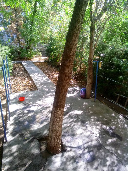 Продам Ялангач 1/1/4