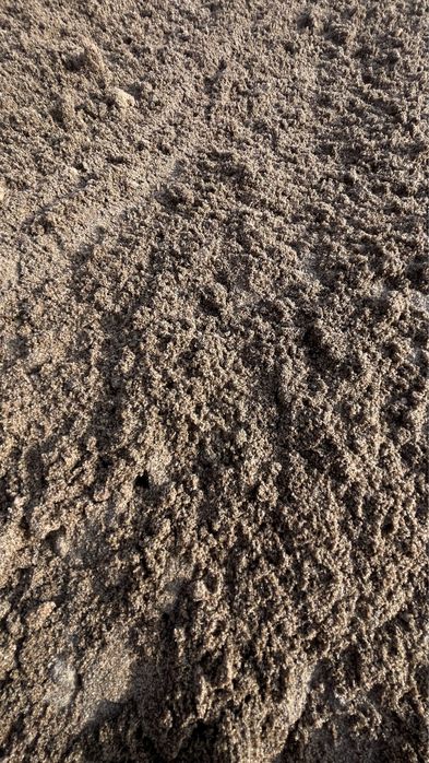 шебень митыи галка