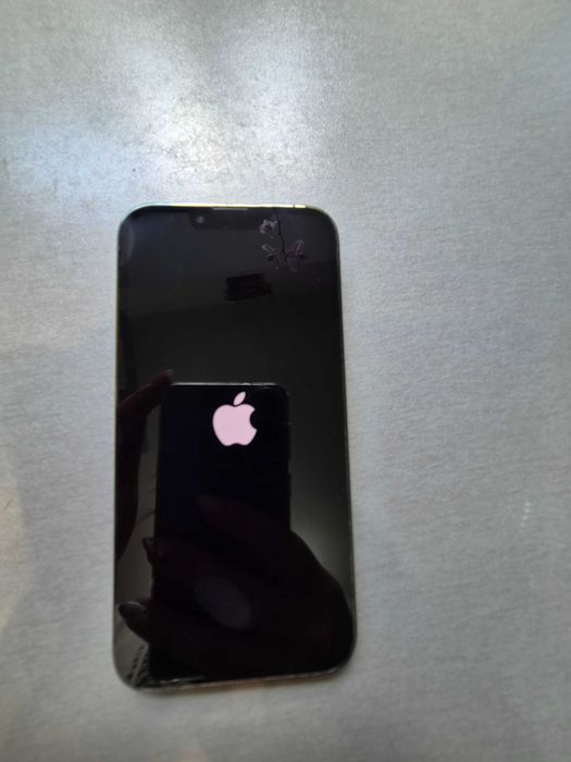 Apple iphone 13 pro