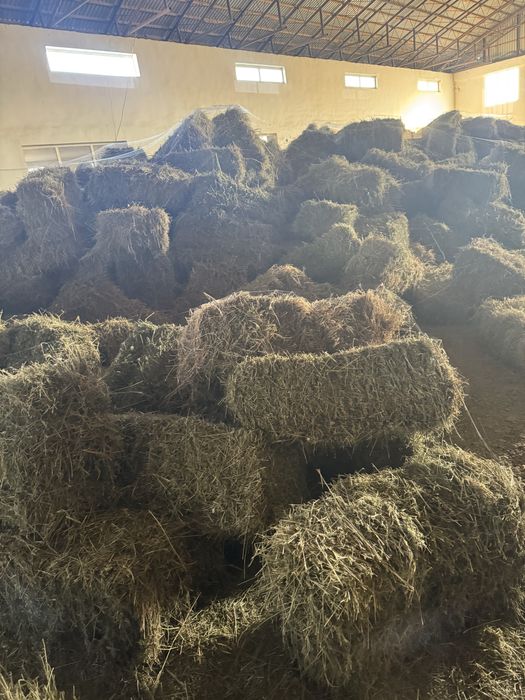 Beda pres sotiladi. Narxi 30 ming soʻm