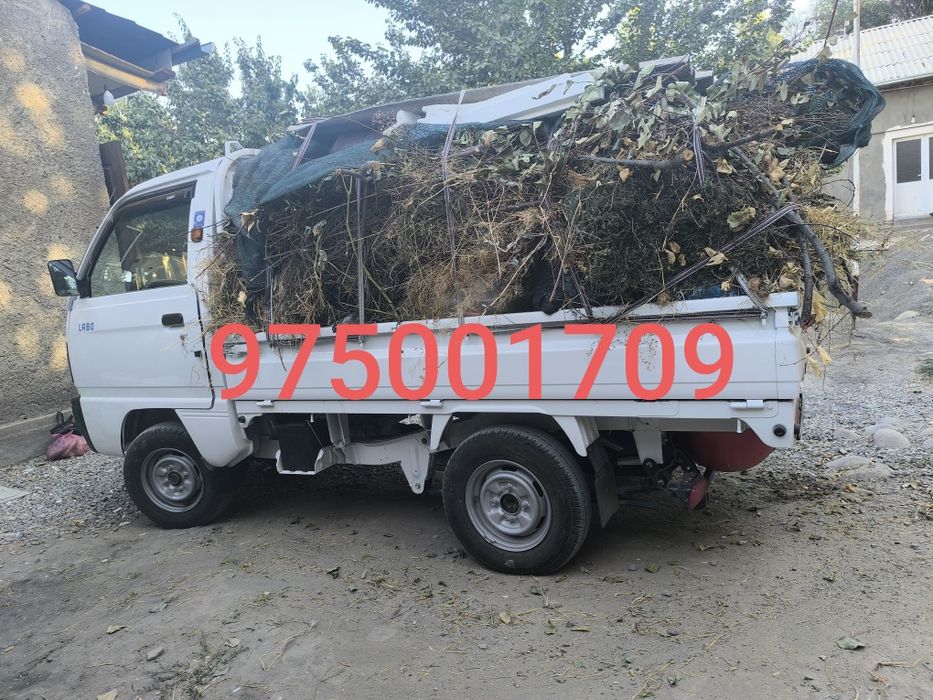 Вывоз мусора мусир на лабо