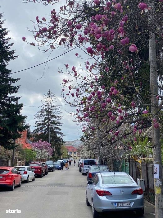 Vand apartament in vila, in zona Decebal