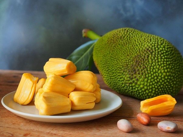 Jackfruit de 25 cm