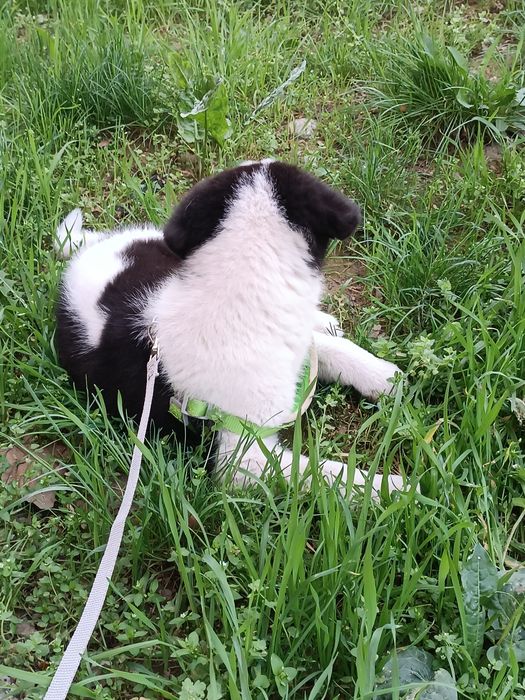 Только в ответственные руки!