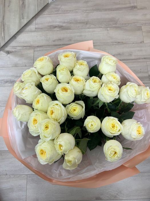 белые розы свежие