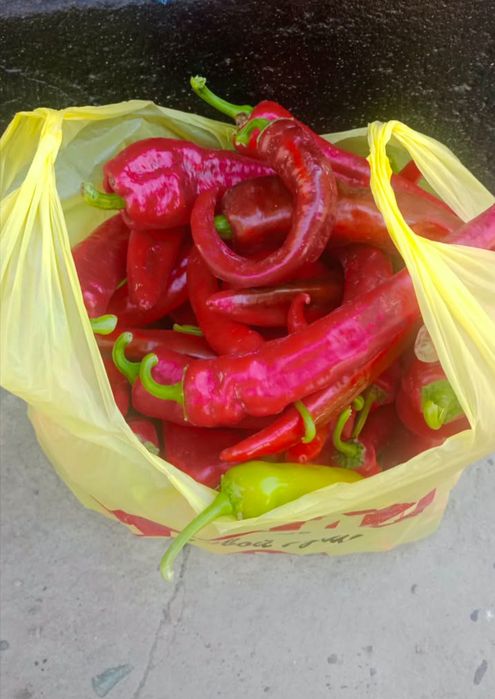 Продам перец горький, полугоркийй