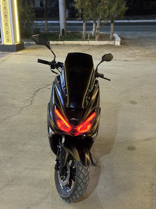 Tigr aybi yuq zur xolatda