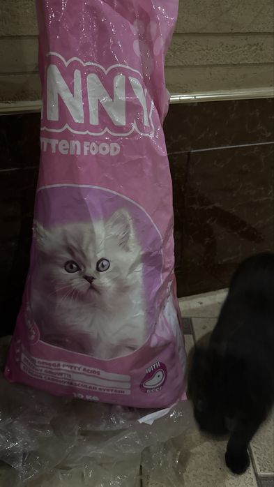 Mushuk ovqati (Winny) sotiladi !!!  Vazni 2.5kg