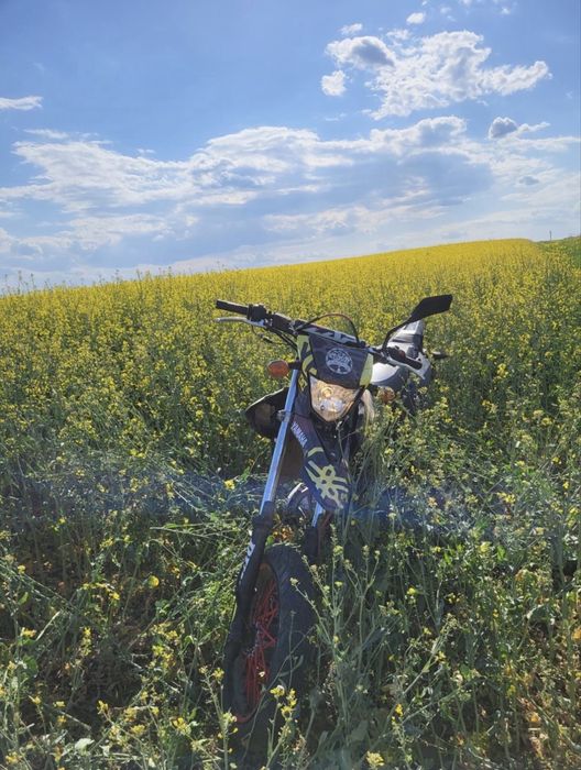 Yamaha  WR 125 X