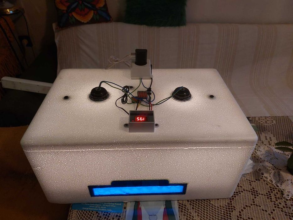 Инкубатор за люпене на яйца!