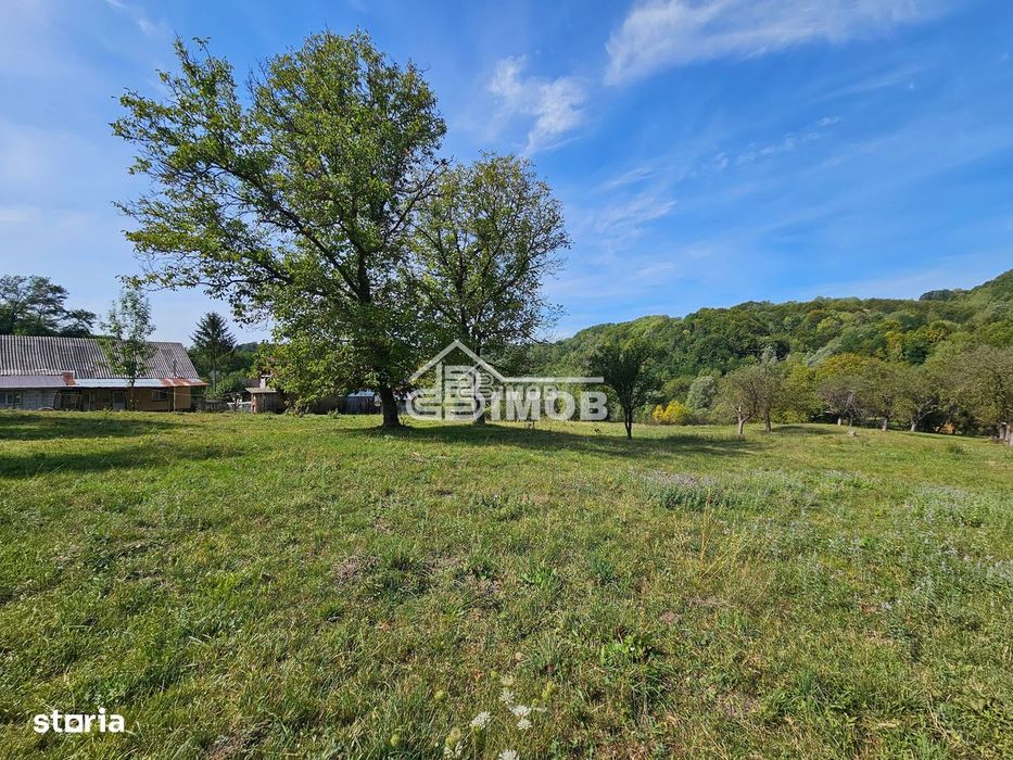 Teren 10.215mp langa padure | 4000 mp intravilan | Vulcana de Sus