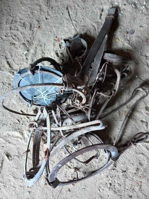 Қақпан әр түрлі 7-8 дана