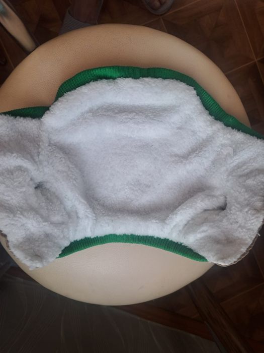 Одежда для собаки