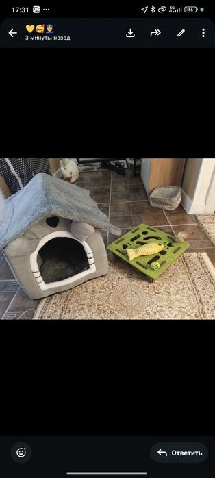 Лежанка для кота и когтеточка
