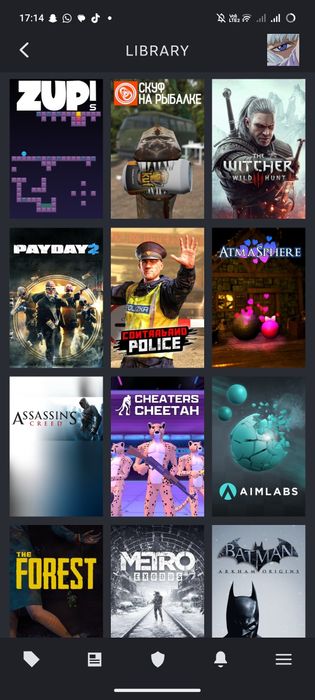 акк в Стиме много игр