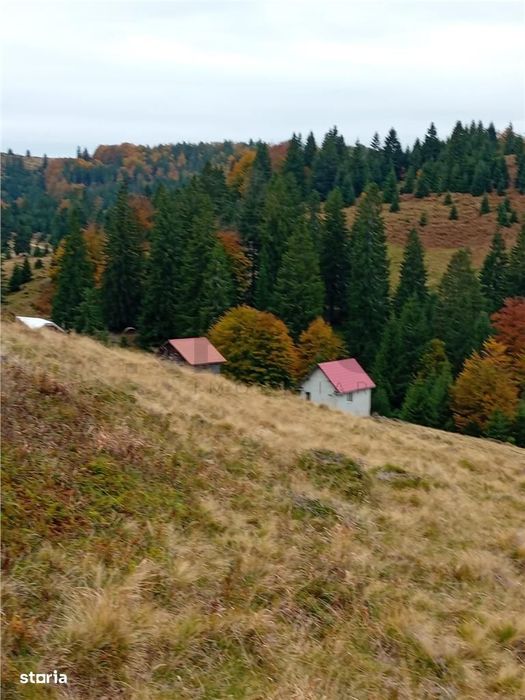 RECO Teren extravilan la Cresuia, Stana de Vale