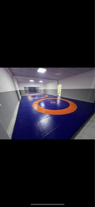 Борцовский ковер 12*12