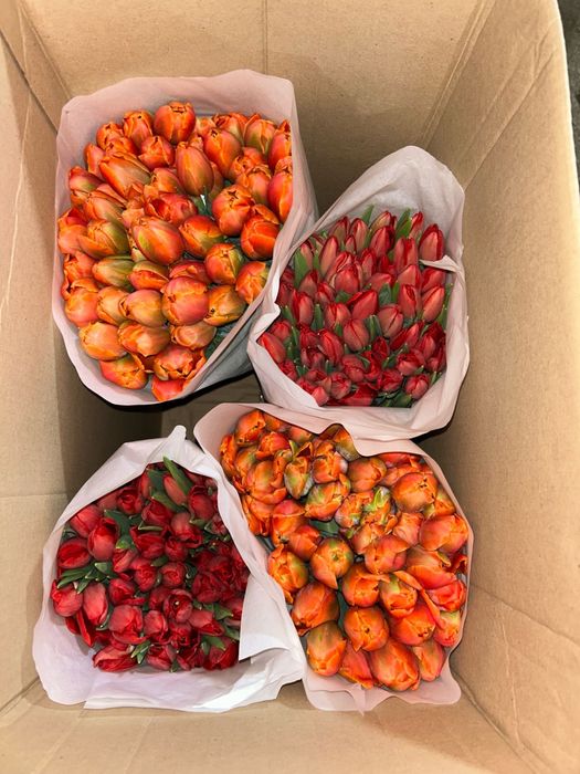 ТЮЛЬПАНЫ К 8 марта