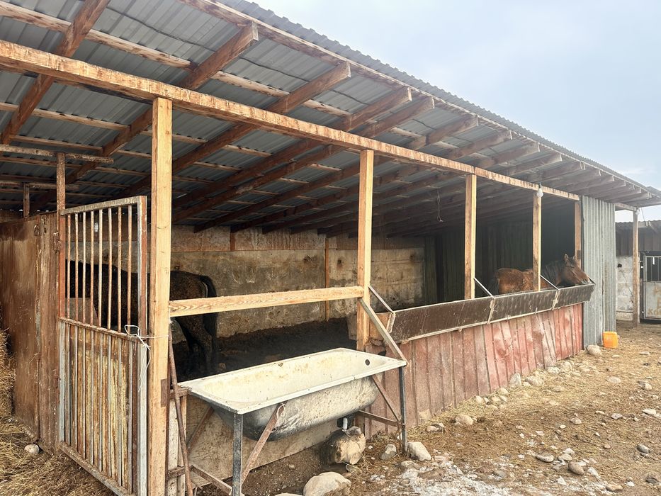 Продается Фазенда