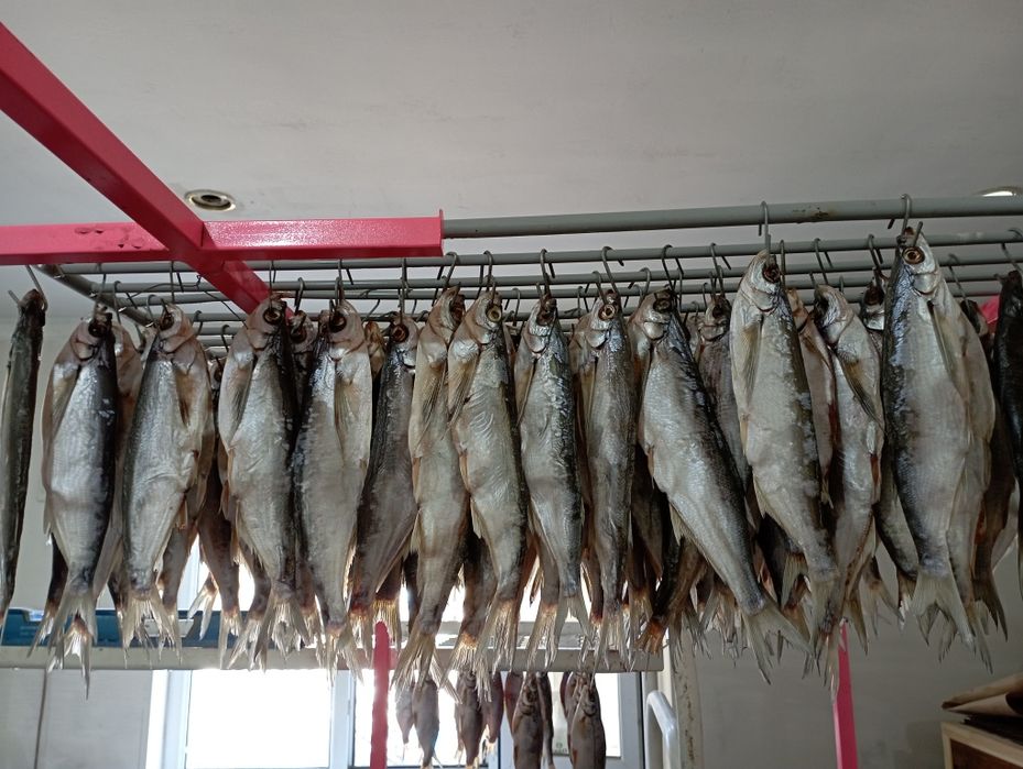 Рыбец балық сатылады