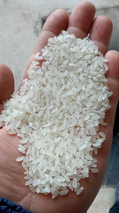 Хоразм аланга гуручи сотилади, Продаётся рис сорта «Аланга» из