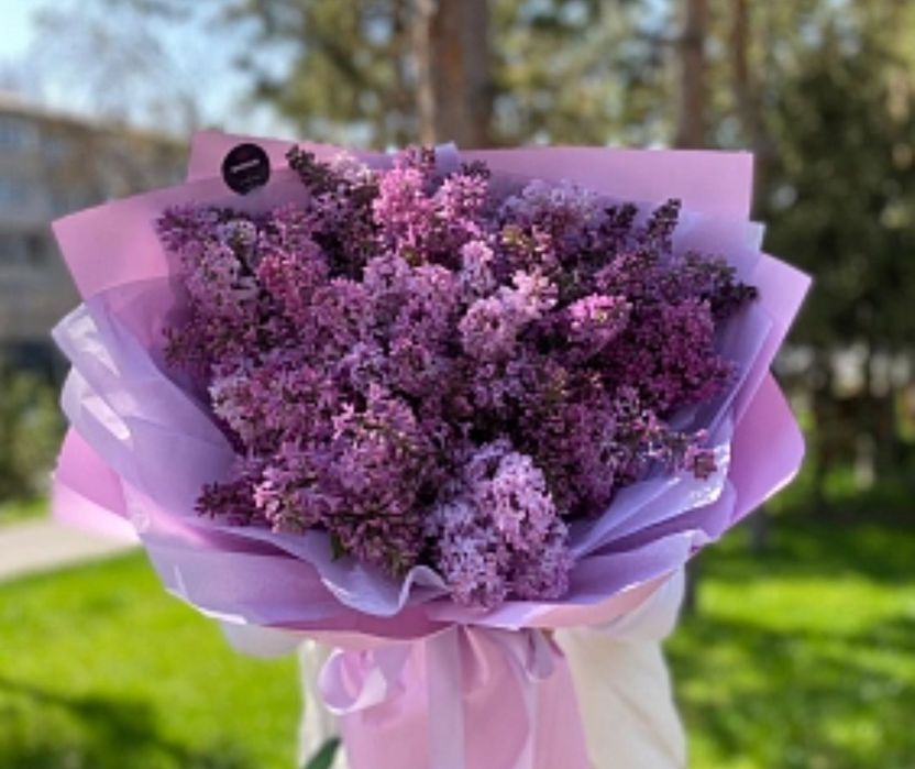 Апрельская сирень. Сирень